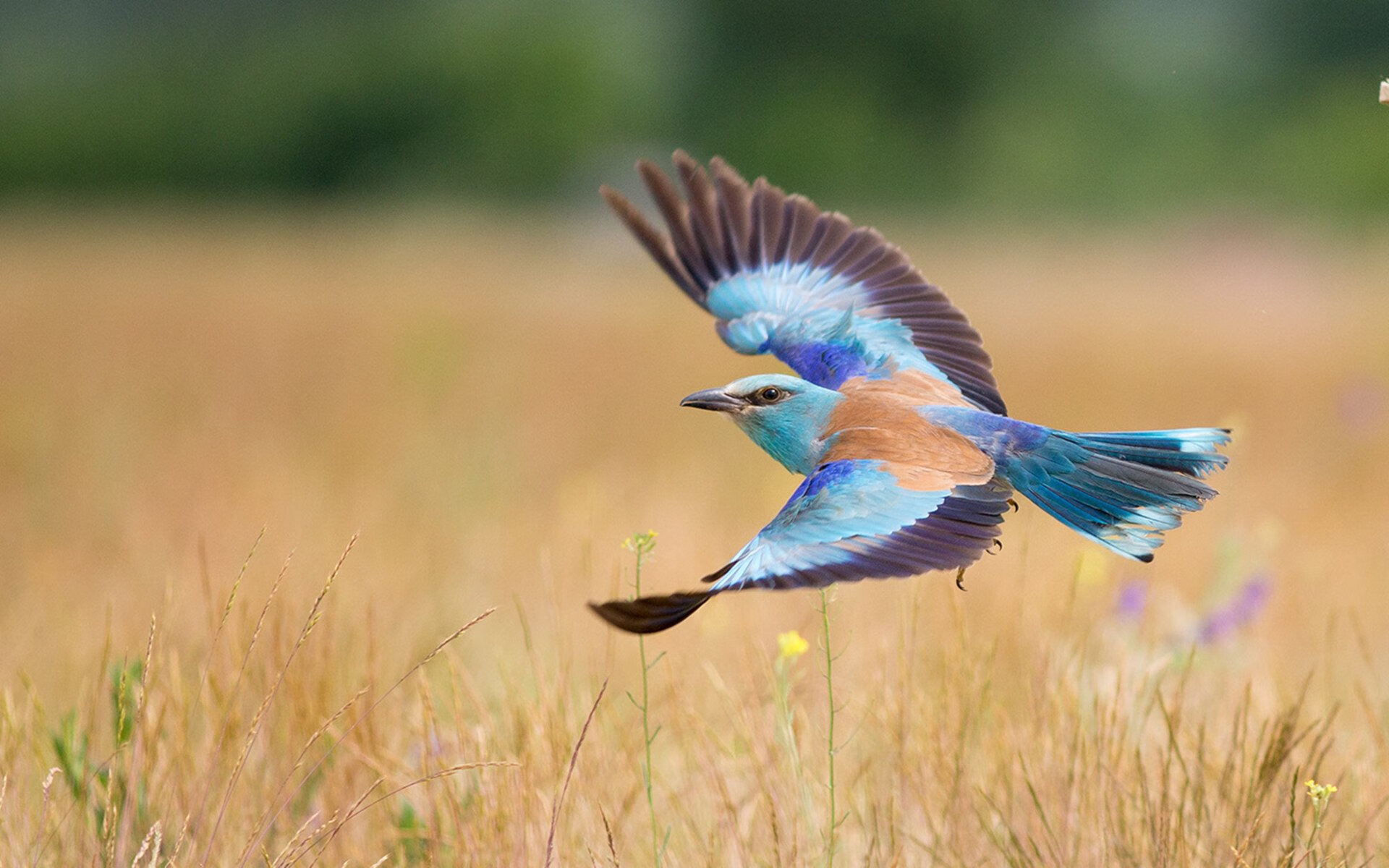 排名变化：轮换、伤病和战术调整带来的连锁反应